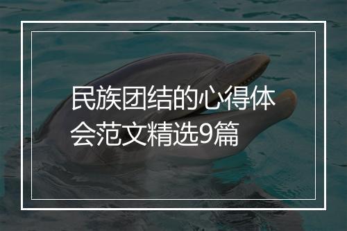 民族团结的心得体会范文精选9篇