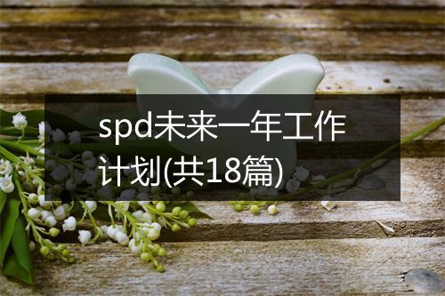 spd未来一年工作计划(共18篇)