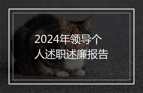 2024年领导个人述职述廉报告