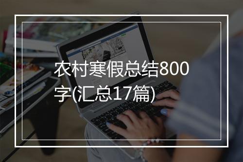 农村寒假总结800字(汇总17篇)
