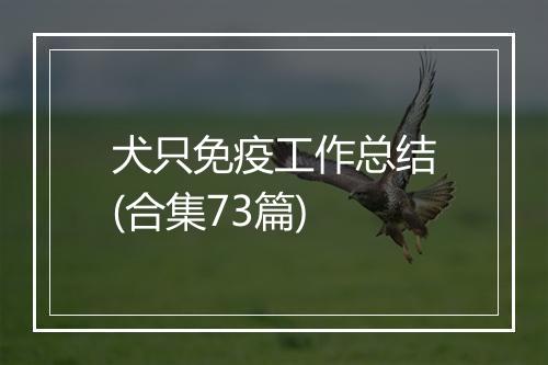 犬只免疫工作总结(合集73篇)