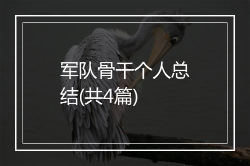 军队骨干个人总结(共4篇)