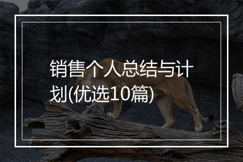 销售个人总结与计划(优选10篇)