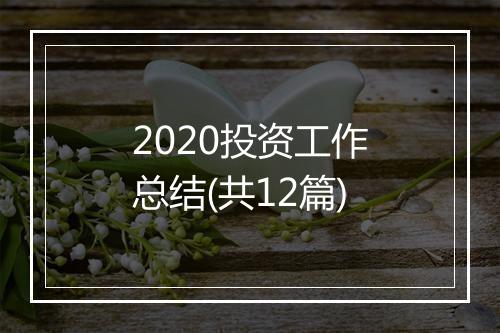 2020投资工作总结(共12篇)