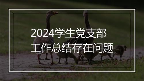 2024学生党支部工作总结存在问题