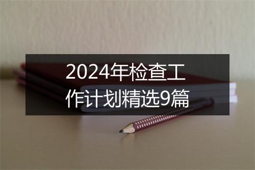 2024年检查工作计划精选9篇