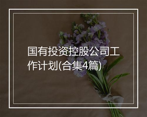 国有投资控股公司工作计划(合集4篇)