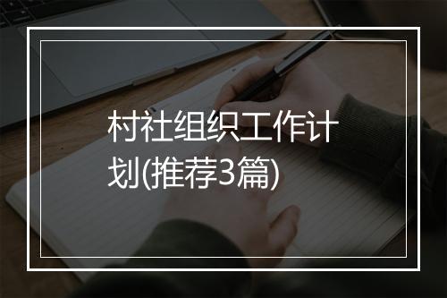 村社组织工作计划(推荐3篇)