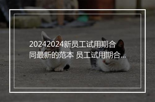 20242024新员工试用期合同最新的范本 员工试用期合同模板