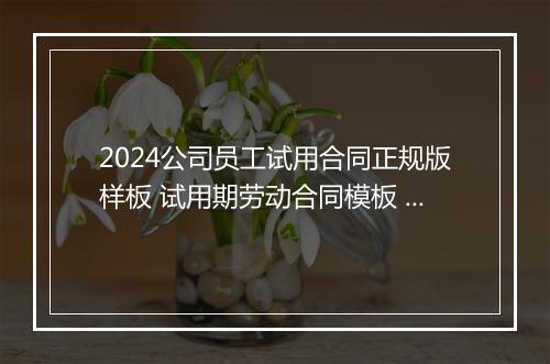 2024公司员工试用合同正规版样板 试用期劳动合同模板 简单