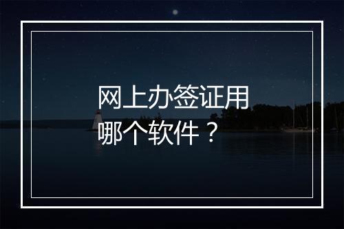 网上办签证用哪个软件？