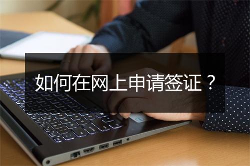 如何在网上申请签证？