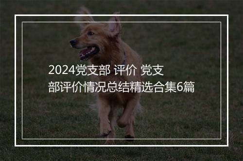 2024党支部 评价 党支部评价情况总结精选合集6篇