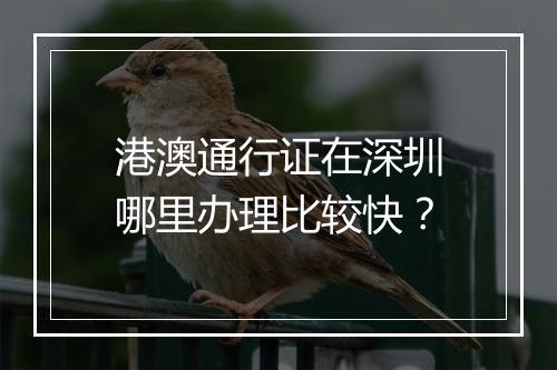 港澳通行证在深圳哪里办理比较快？