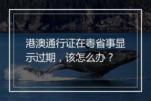 港澳通行证在粤省事显示过期，该怎么办？