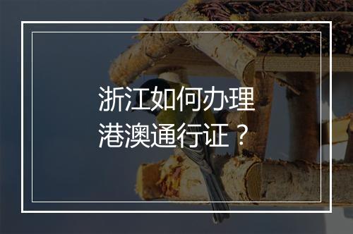 浙江如何办理港澳通行证？