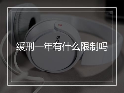 缓刑一年有什么限制吗