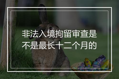 非法入境拘留审查是不是最长十二个月的