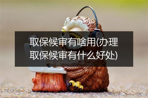 取保候审有啥用(办理取保候审有什么好处)