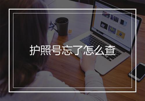 护照号忘了怎么查