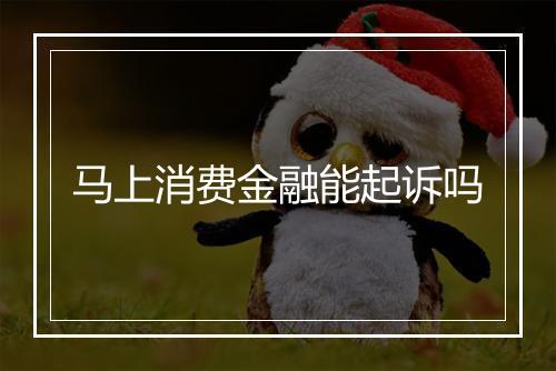 马上消费金融能起诉吗