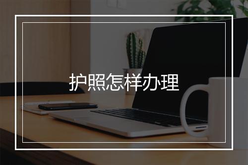 护照怎样办理
