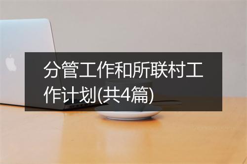 分管工作和所联村工作计划(共4篇)