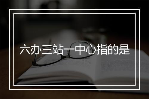 六办三站一中心指的是