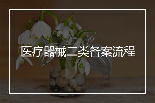 医疗器械二类备案流程