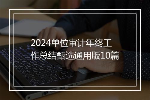 2024单位审计年终工作总结甄选通用版10篇
