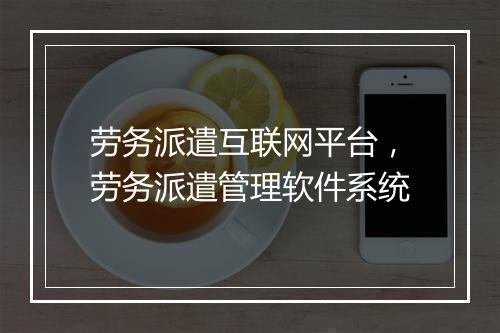 劳务派遣互联网平台，劳务派遣管理软件系统