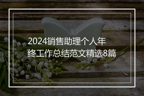 2024销售助理个人年终工作总结范文精选8篇