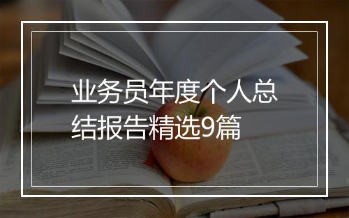 业务员年度个人总结报告精选9篇