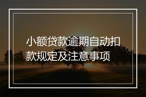 小额贷款逾期自动扣款规定及注意事项
