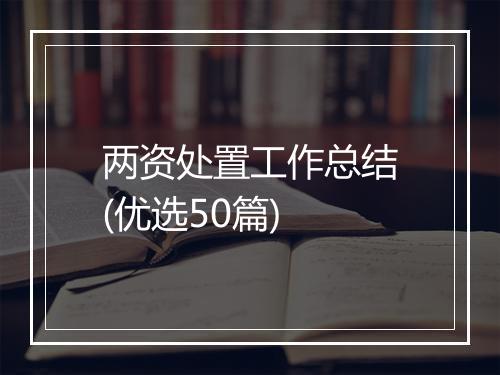 两资处置工作总结(优选50篇)