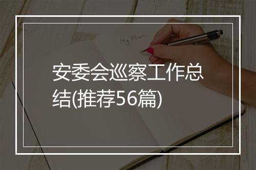 安委会巡察工作总结(推荐56篇)