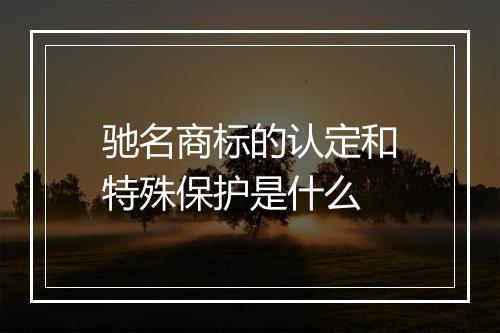 驰名商标的认定和特殊保护是什么