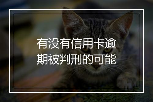 有没有信用卡逾期被判刑的可能