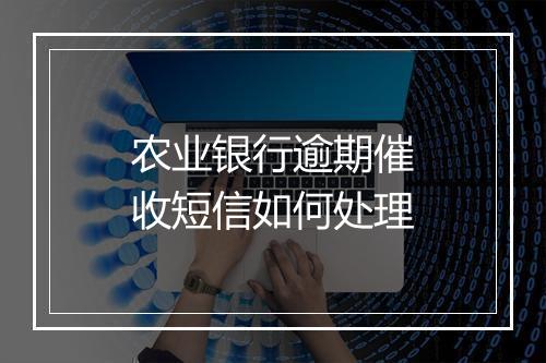 农业银行逾期催收短信如何处理