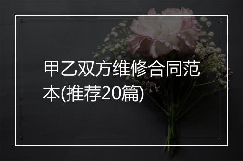 甲乙双方维修合同范本(推荐20篇)