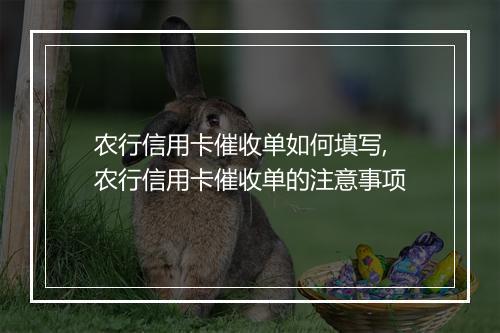农行信用卡催收单如何填写,农行信用卡催收单的注意事项