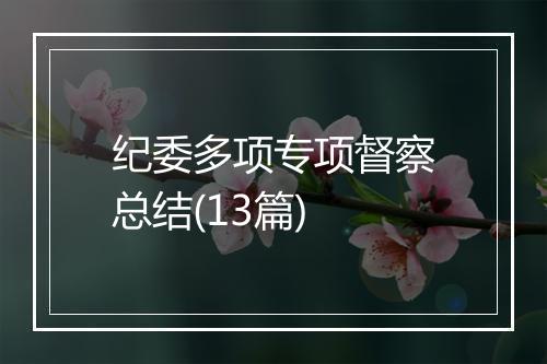 纪委多项专项督察总结(13篇)
