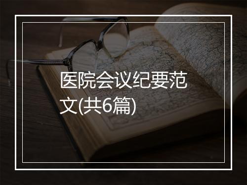 医院会议纪要范文(共6篇)
