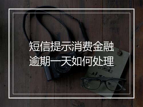 短信提示消费金融逾期一天如何处理