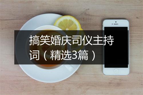 搞笑婚庆司仪主持词（精选3篇）