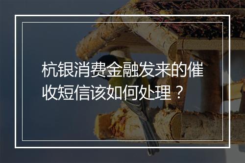 杭银消费金融发来的催收短信该如何处理？