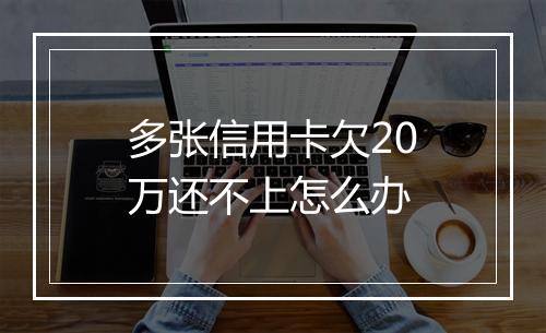 多张信用卡欠20万还不上怎么办