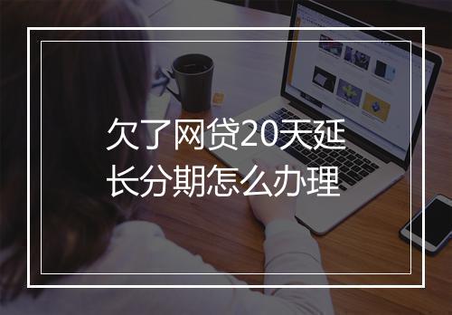 欠了网贷20天延长分期怎么办理