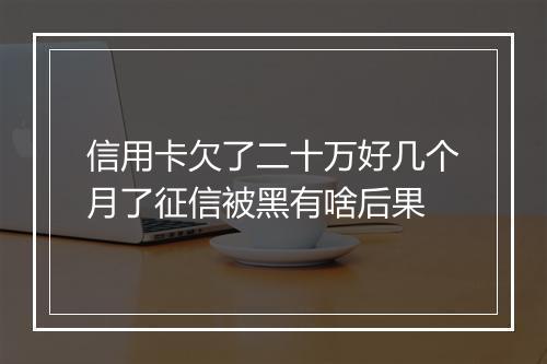 信用卡欠了二十万好几个月了征信被黑有啥后果