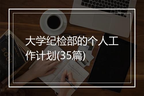 大学纪检部的个人工作计划(35篇)
